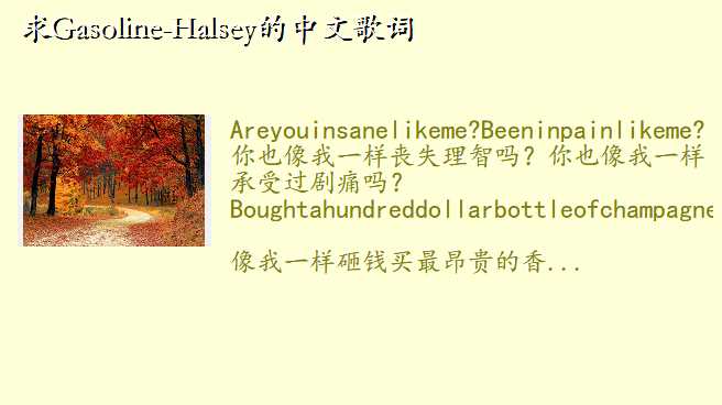 求Gasoline-Halsey的中文歌词